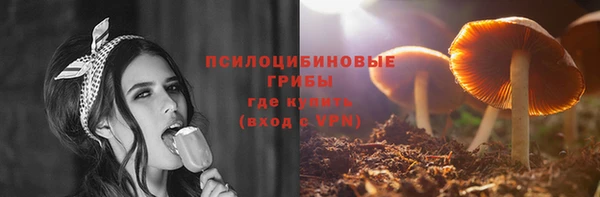 спайс Вяземский